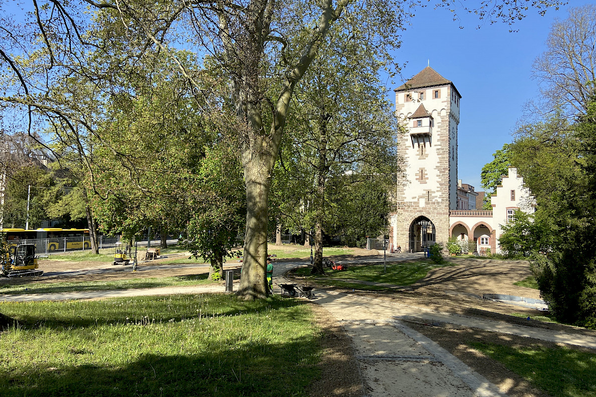 St. Albantor-Anlage mit vitalen Bäumen